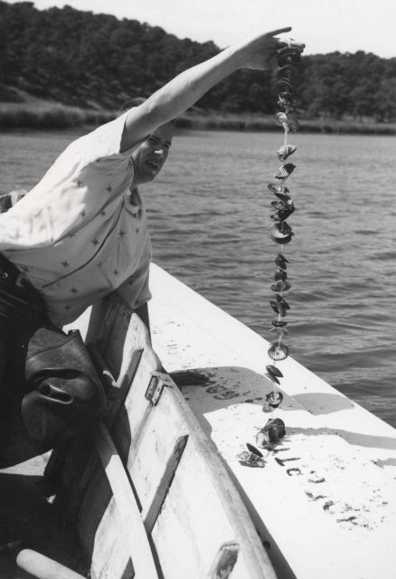 Raft-culture of oysters, used widely in Japan, is under study by Woods Hole Laboratory Picture