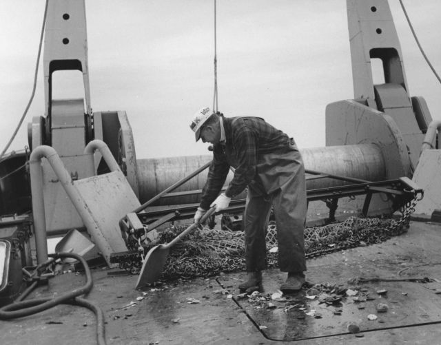 Clean up after culling through a haul from a sea scallop dredge on the BCF ship ALBATROSS IV. Picture