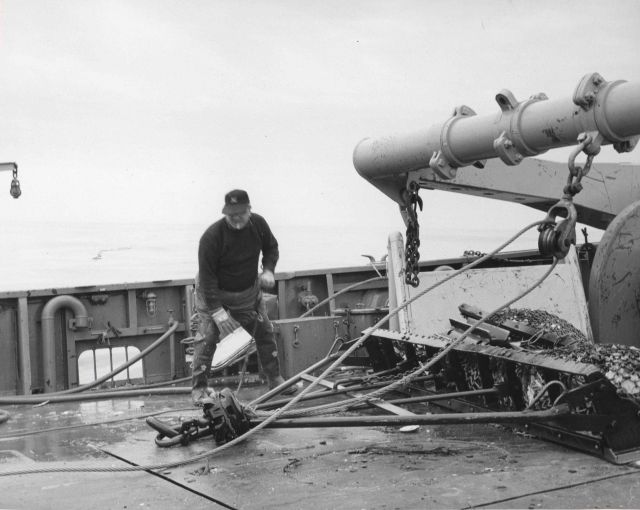 Handling sea scallop dredge aboard BCF ship ALBATROSS IV Picture