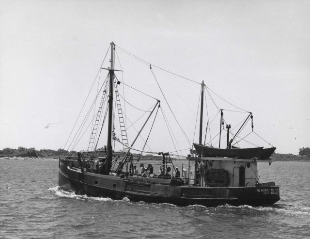 A New Bedford scallop boat underway. Picture