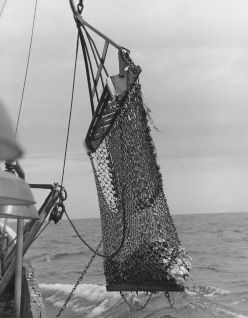 Scallop dredge Picture