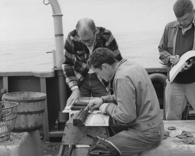 Measuring sea scallops aboard ALBATROSS IV Picture