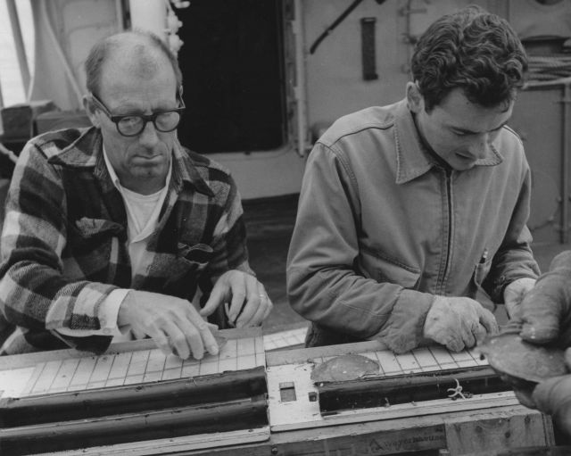 Collecting length frequency statistics of sea scallops aboard BCF ship ALBATROSS IV Picture