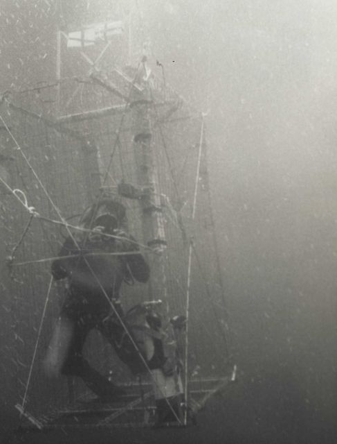 Taking photos from shark cage Picture