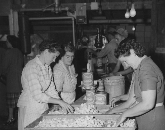 Men and women on assembly line at shrimp processing plant Picture
