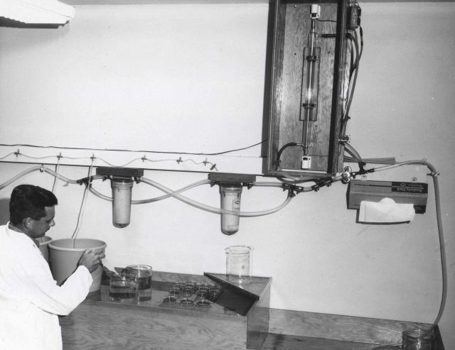 Water table and water treatment apparatus used in larval shrimp rearing studies. Picture