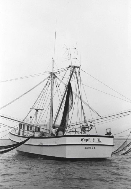 Shrimp trawler dumping shrimp catch on deck Picture