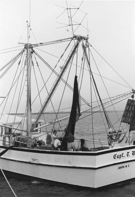 Shrimp trawler dumping shrimp catch on deck Picture