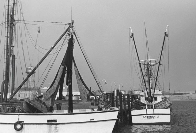 Shrimp trawlers Picture