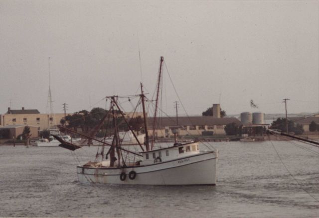 Shrimp trawlers Picture