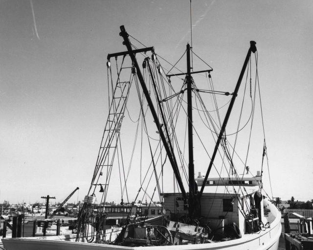 Double-rig shrimp trawling in the Gulf of Mexico Picture