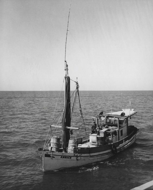 Bay shrimp trawler, Northern Gulf of Mexico Picture