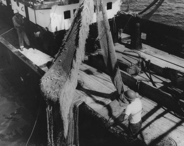 Exploratory fishing Picture