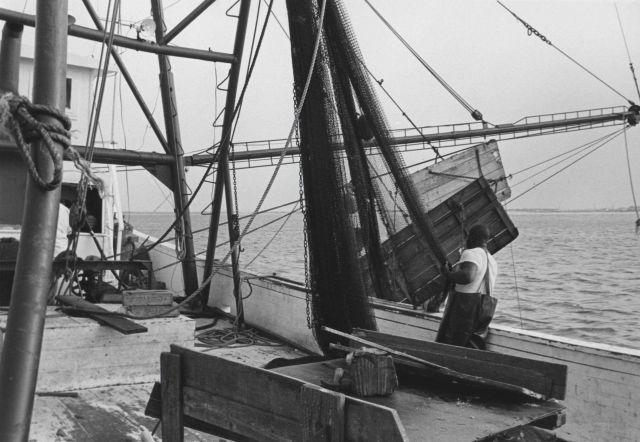 Hauling aboard shrimp trawl doors Picture