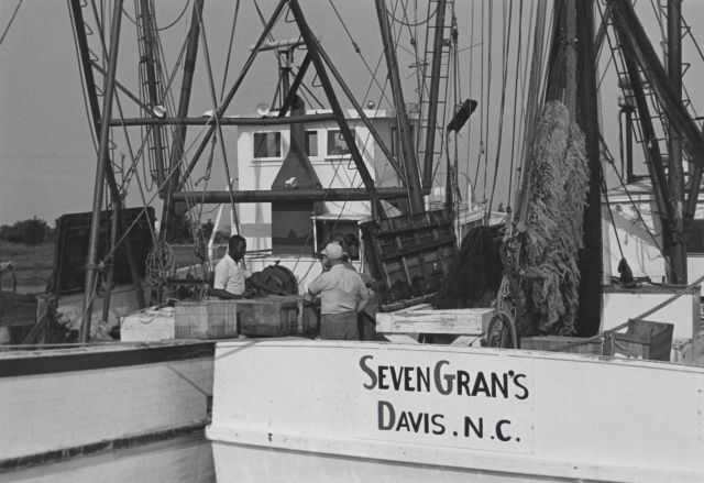 Unloading shrimp off DUDLEY while tied up outboard of Seven Gran's Picture