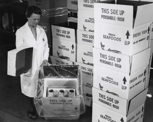 Inspecting a new product - Maine shrimp packaged with sauce. Picture