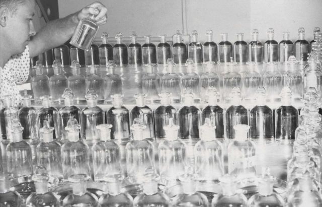 Testing toxicity of pesticides on postlarval shrimp contained individually in 25 -cc reagent bottles. Picture