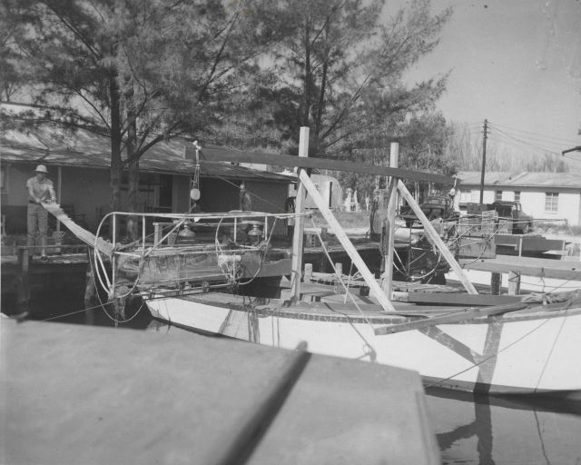 Transportation of bait shrimp Picture