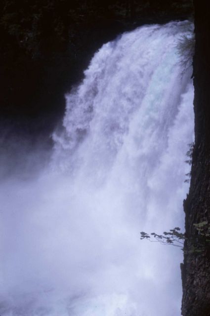 Koosah Falls on the McKenzie River. Picture