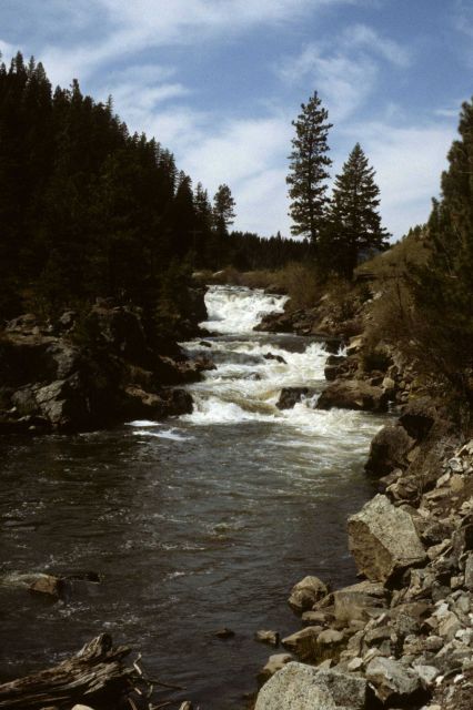 Falls on the Little Salmon River - Tributary to the Salmon River Picture