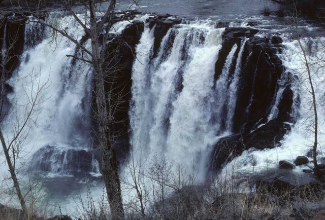 White River Falls along a tributary of the Deschutes River Picture