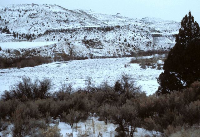 A winter day along the John Day River near its junction with its North Fork Picture