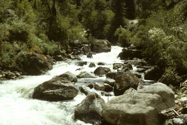 View of French Creek tumbling through boulders on its way to the sea Picture