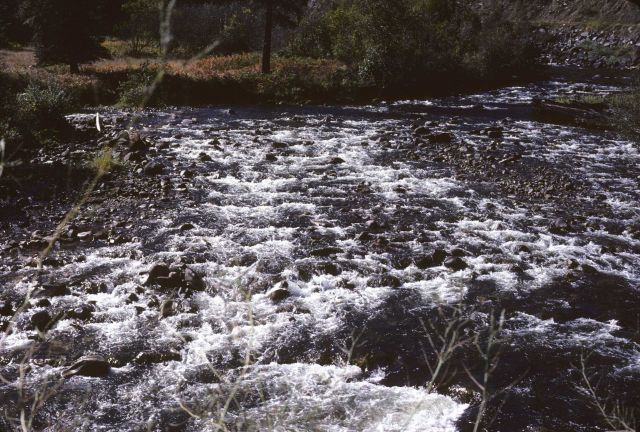 Unidentified stream babbling through riffles Picture