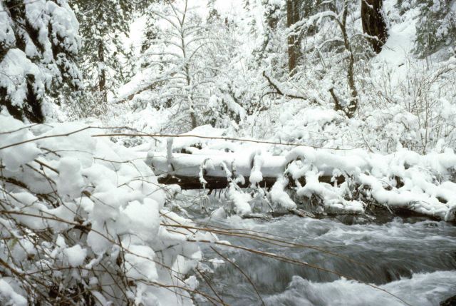 North Fork of the Little Butte River Picture