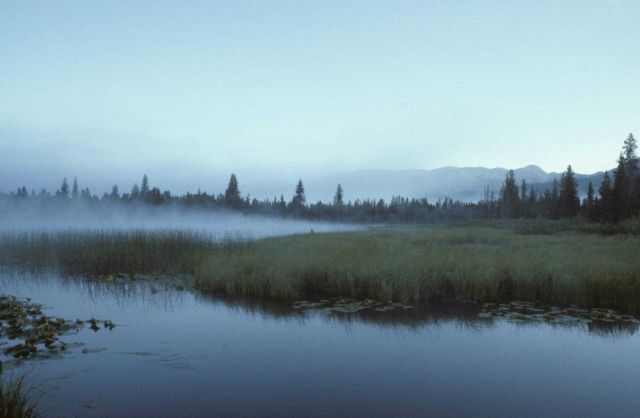A cool morning causing advection fog over Warm Lake. Picture