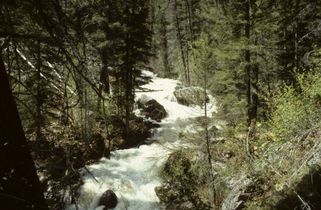 Trapper Creek steep gradient area Picture
