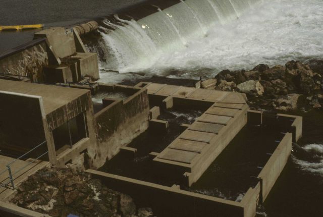 Winchester Spillway on the North Umpqua River Picture