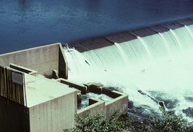 Winchester Spillway on the North Umpqua River Picture