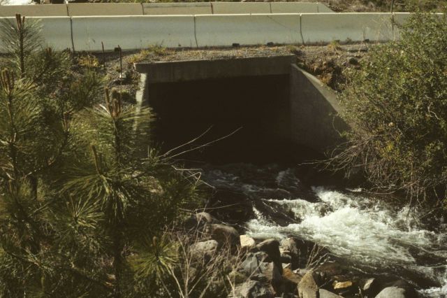 Culvert passing under road on Rattlesnake Creek Picture