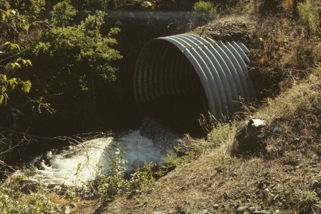 Culvert passing under road on Sheep Creek Picture