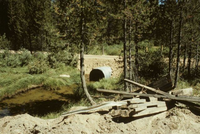 Culvert passing under road on Trout Creek Picture