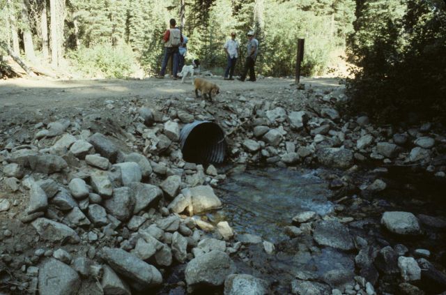Culvert passing under road on Ditch Creek Picture