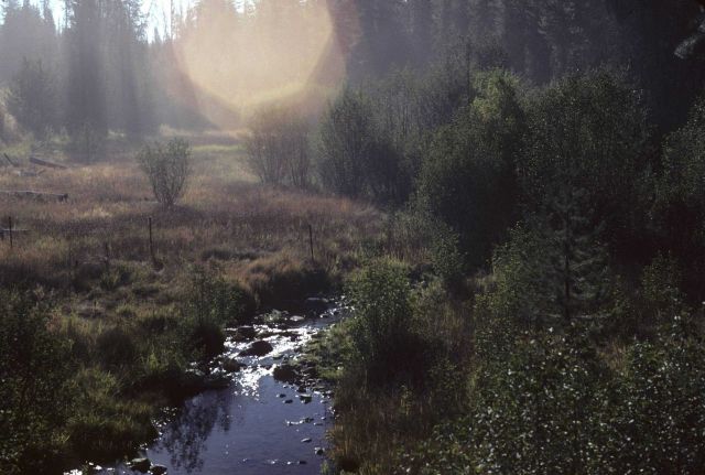 A cattle enclosure at Camp Creek, tributary to the John Day River. Picture