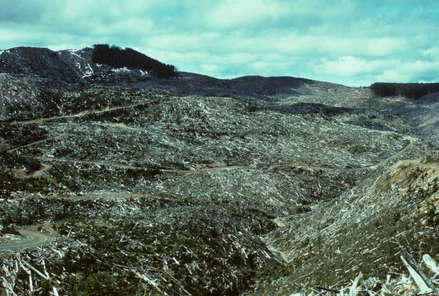 A large clear-cut logging operation in the Schooner Creek area of the Siletz River watershed. Picture