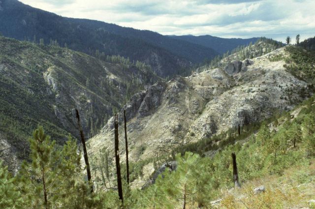Poverty Burn area of the South Fork of the Salmon River Picture