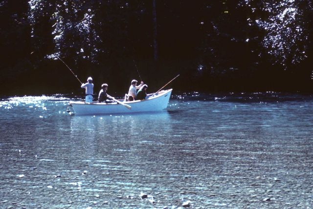 Drift fishing for steelhead on the Queets River Picture