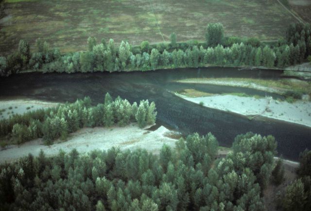 White areas on river bottom are redds, salmon spawning nests dug out by female chinook salmon Picture