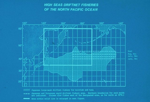 1980's graphic showing the extent of driftnet fisheries on the high seas of the North Pacific Ocean Picture