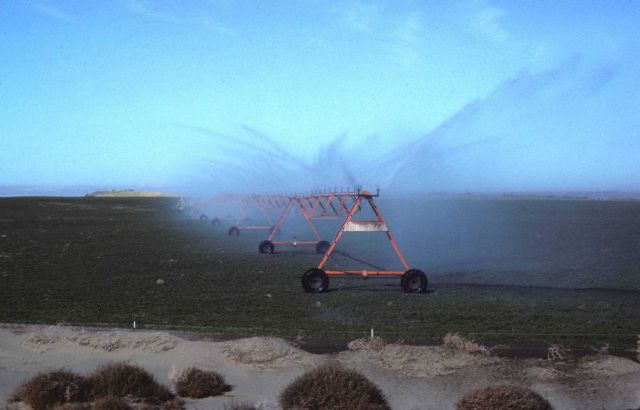 Water for irrigation requires dams and also reduces stream flow contributing to degradation of salmon habitat. Picture
