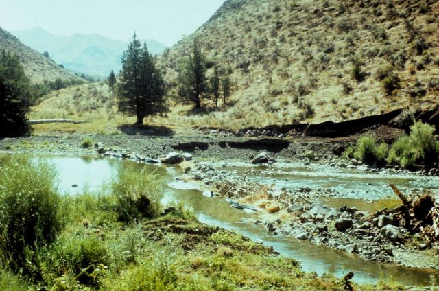 A gravel dam ponding water for irrigation Picture