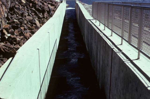 Fish ladder to Spring Creek National Fish Hatchery Picture