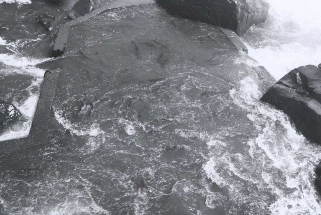 Willamette Falls fish ladder Picture