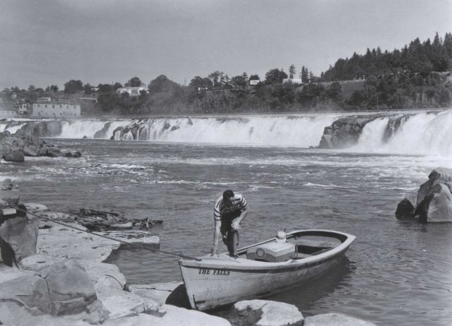 Fisheries employee coming over to the fish counting station via 