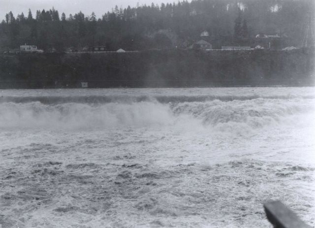 Willamette River during flood stage Picture