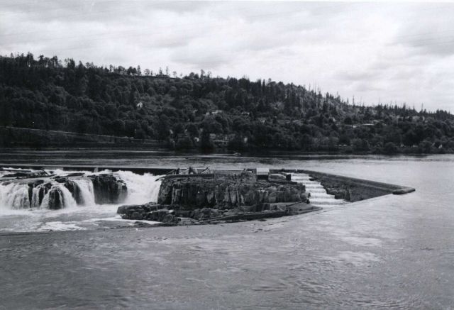 Looking over upper end of fish ladder and center of horseshoe of Willamette Falls Picture